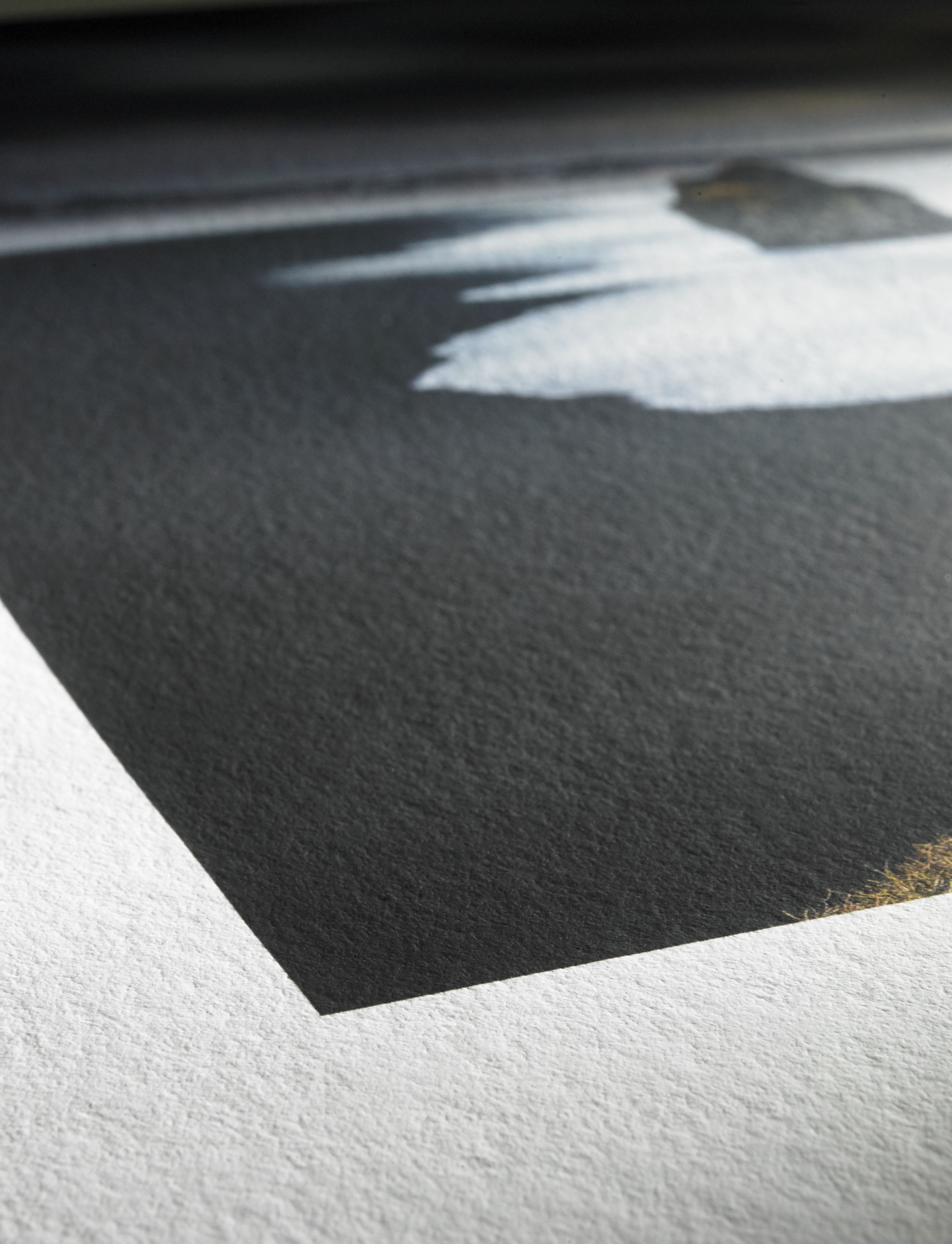 Hahnemühle Photo Rag Bright White 310g | Dexter